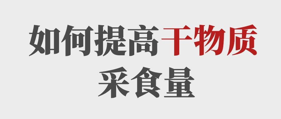 做到這5點提高育肥牛的干物質(zhì)采食量！